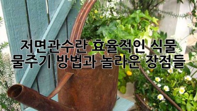 🪴 저면관수란? 효율적인 식물 물주기 방법과 놀라운 장점들! 💦