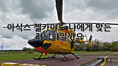 아식스 젤카야노: 나에게 맞는 러닝화일까요?