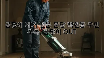 곰팡이 제거 전문, 분당 백현동 주민 주목! 🏡 곰팡이 OUT!